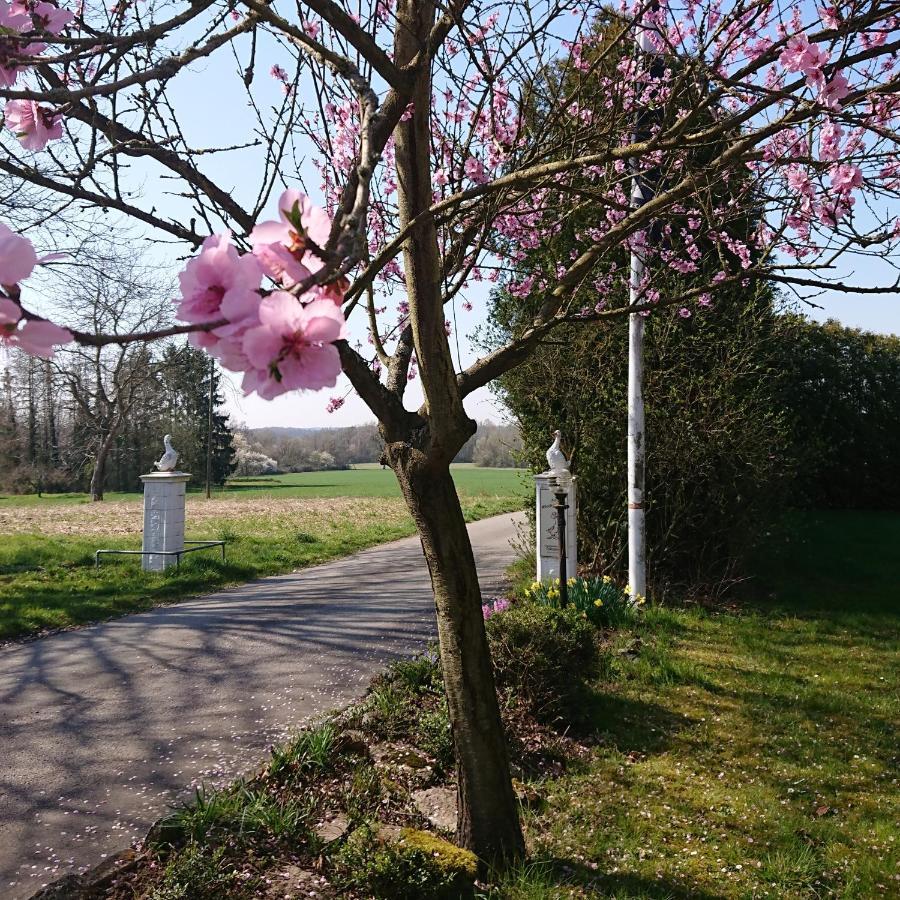 Landgasthof Gaensberg Wiesloch Esterno foto