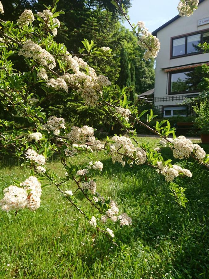 Landgasthof Gaensberg Wiesloch Esterno foto