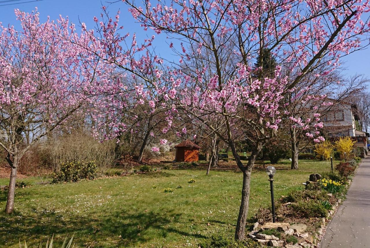 Landgasthof Gaensberg Wiesloch Esterno foto