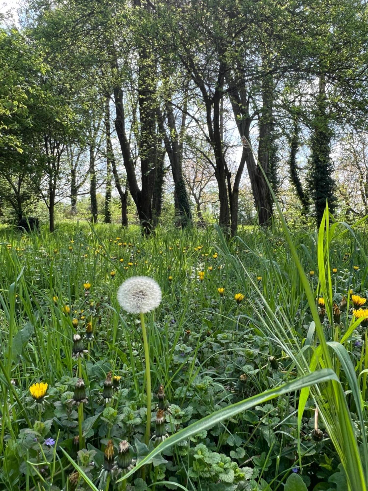 Landgasthof Gaensberg Wiesloch Esterno foto